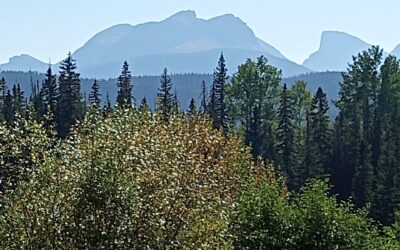 Regulatory Requirements for Public Lands