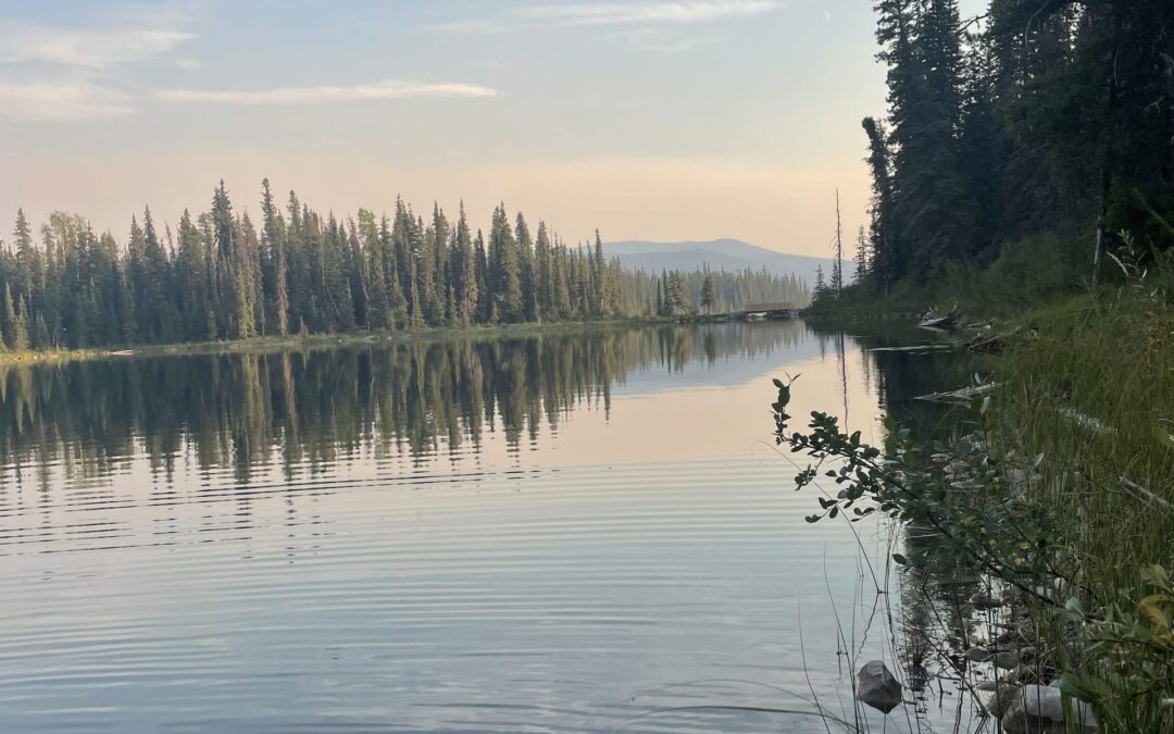 Wetlands Information